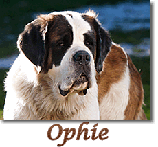 Ophie